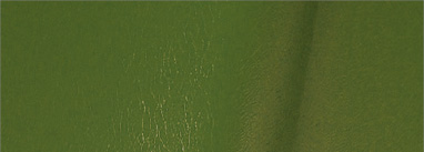 Гладкий лист . (1250/2000) SOLANO 30 0,5 JINIPER GREEN 