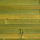 Бамбуковое полотно дизайн лайм 17мм/900мм Cosca