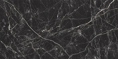 Керамогранит Black Arkadia (600 х 1200)  базовая LAPARET  