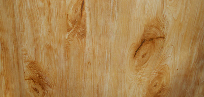 Гладкий лист . (1250/2000) PRINTECH 0,5 Maple (Клен) 